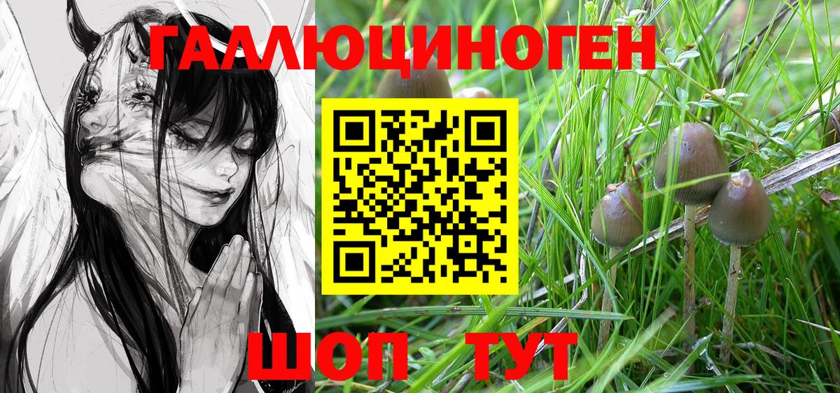 наркошоп  Псилоцибиновые грибы Magic Shrooms  Вход с VPN  Галлюциногенные грибы MAGIC MUSHROOMS  Кировск 