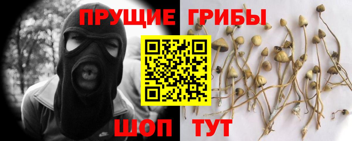 Псилоцибиновые грибы MAGIC MUSHROOMS Кировск